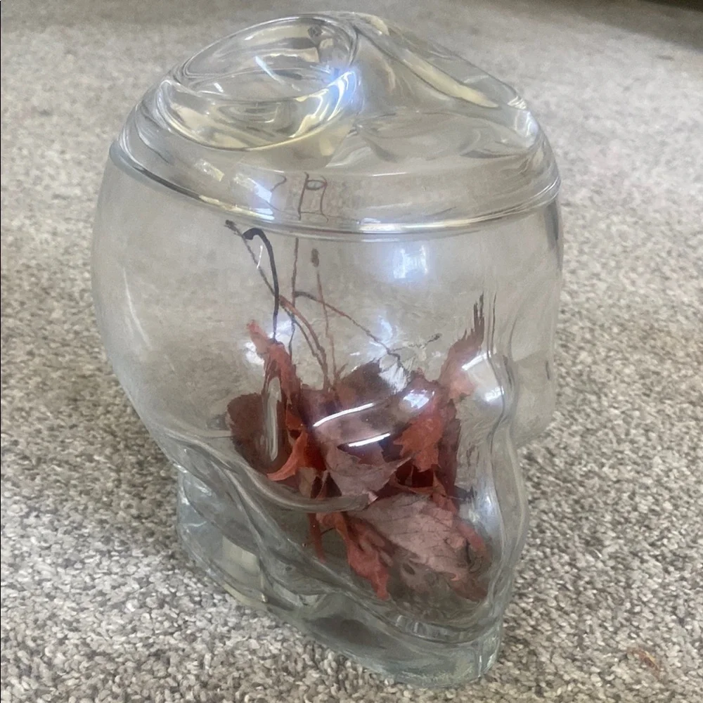 Thick Glass Skull Cookie Jar Canister with lid - Clear